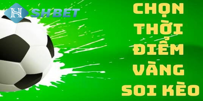 Banner www.cuongthinhcamera.com