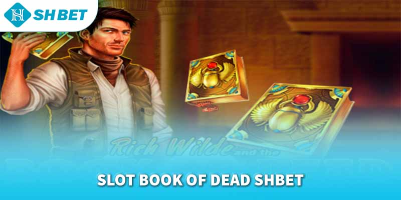 Banner www.cuongthinhcamera.com