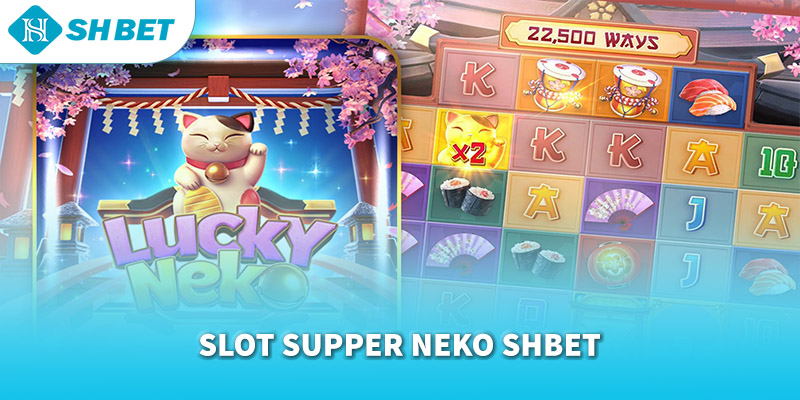 Banner www.cuongthinhcamera.com