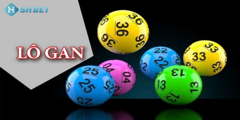 Banner www.cuongthinhcamera.com